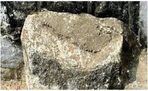 A 16th-century Telugu inscription has been discovered in Tadipatri town of Anantapur district in Andhra Pradesh